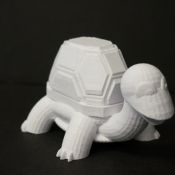 3D Printed Turtle