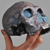 Full Color 3D Printed Skull